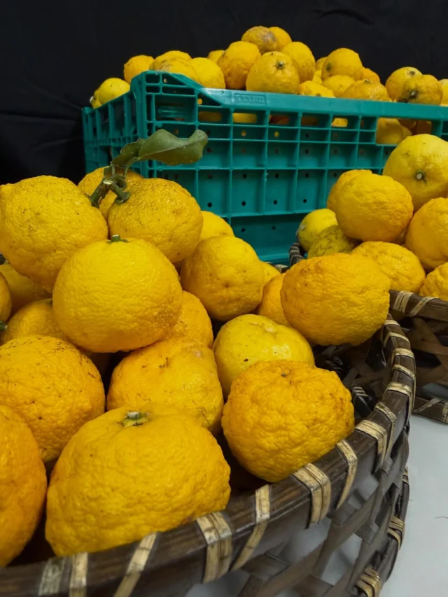 ゆず譲ってくださいイベント開催しております🍊
沢山のゆずを譲っていただいております‼️
まだまだ、募集しております、３キロ以上ゆずを譲っていただいたお客様には、「平日入泉招待券」をプレゼントいたします🎁  #おかざき楽の湯#楽の湯#おかざき#岡崎市#お風呂#スーパー銭湯#銭湯#日帰り温泉#サウナ#サウナー#塩サウナ#サウナイキタイ#サ道#温泉#サウナ飯#ととのう#サ活#岡崎市羽根町#オロポ#水風呂#柚子風呂#柚子#ゆず湯 #ゆず譲ってください